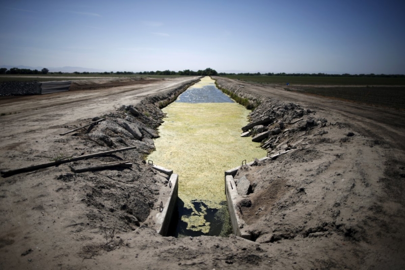 The horrifying effects of a drought in California