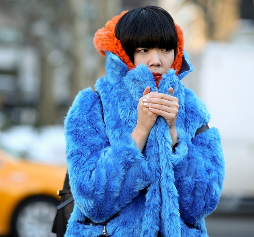 The January blizzard is ringing