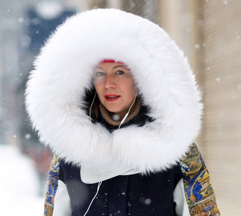 The January blizzard is ringing