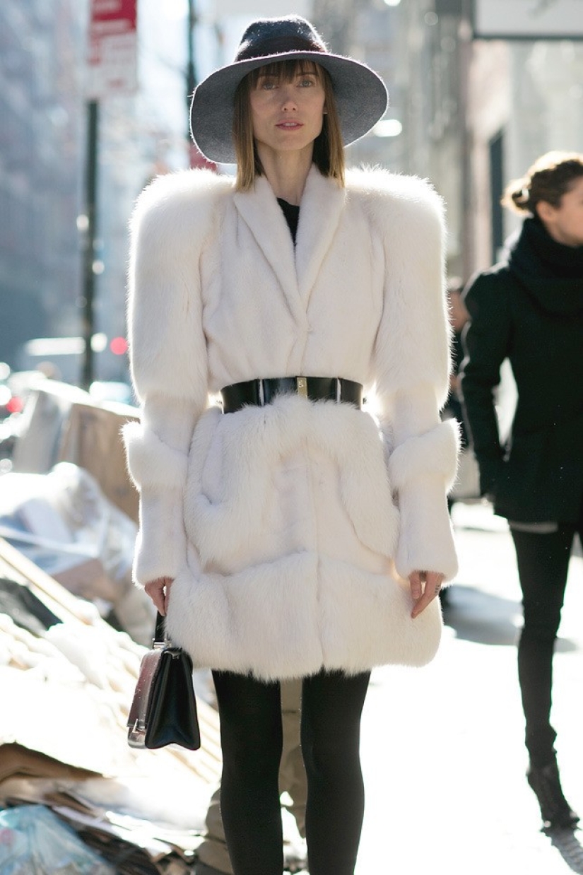 The January blizzard is ringing