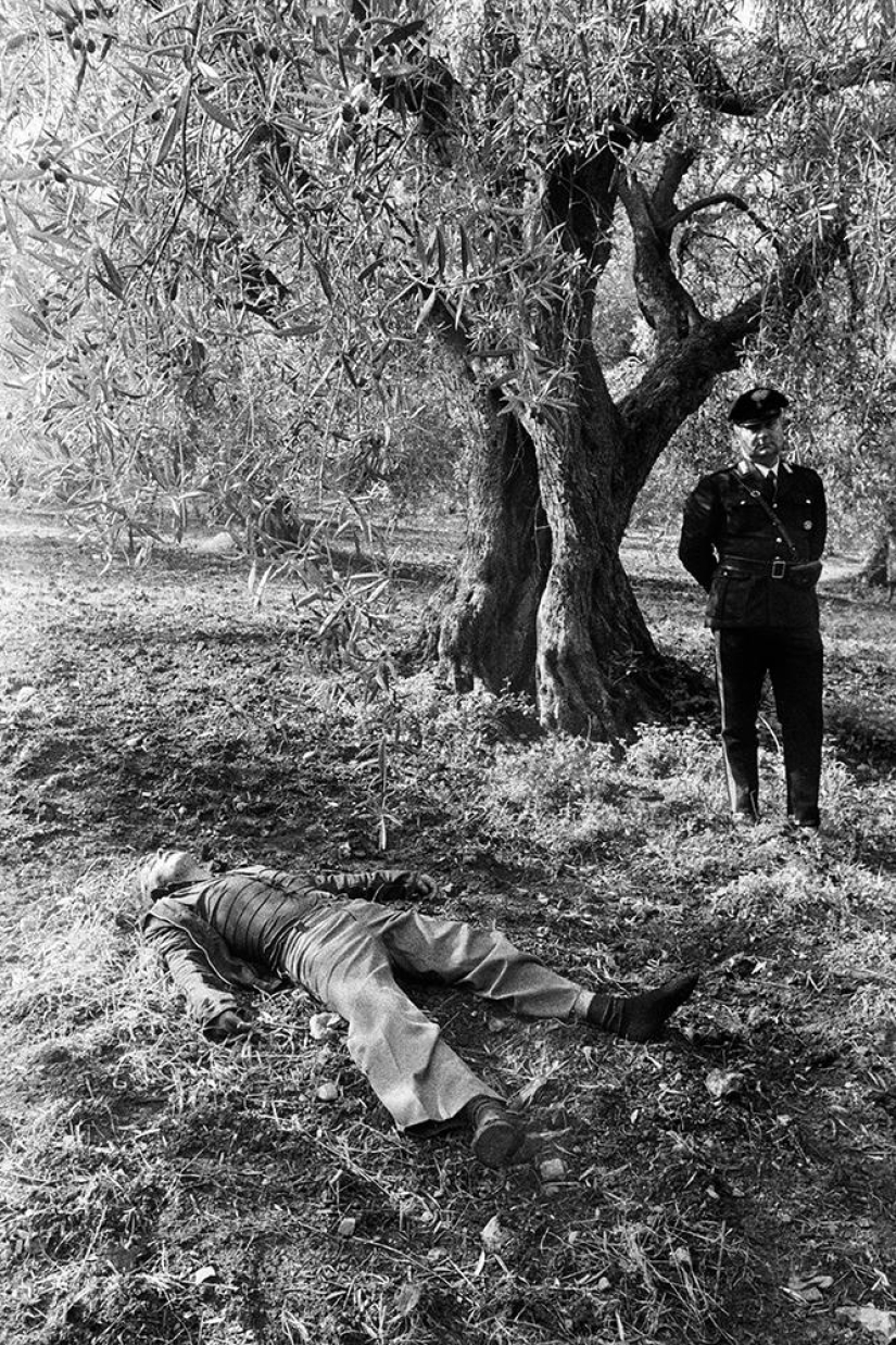 The journalist finally decided to publish materials about the Sicilian mafia The journalist finally decided to publish materials about the Sicilian mafia