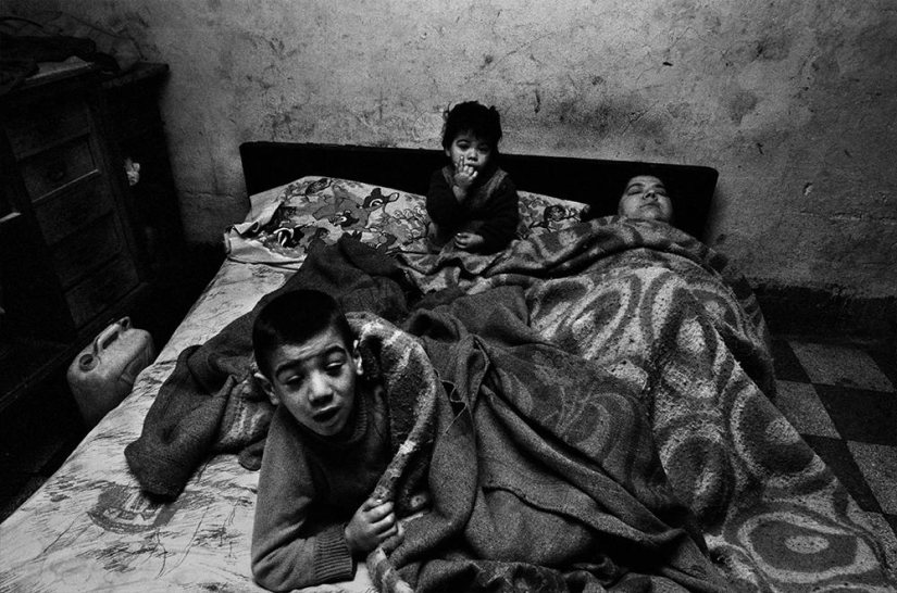 The journalist finally decided to publish materials about the Sicilian mafia The journalist finally decided to publish materials about the Sicilian mafia