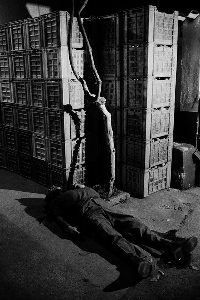 The journalist finally decided to publish materials about the Sicilian mafia The journalist finally decided to publish materials about the Sicilian mafia