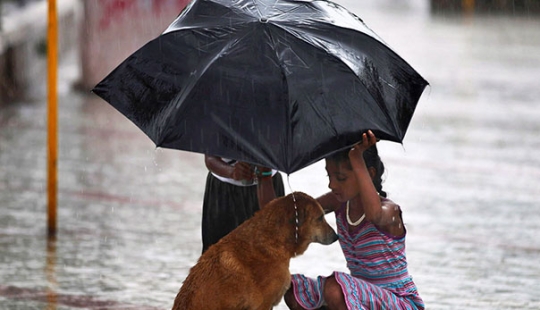 The kindness of these kids will make you believe in the future of humanity