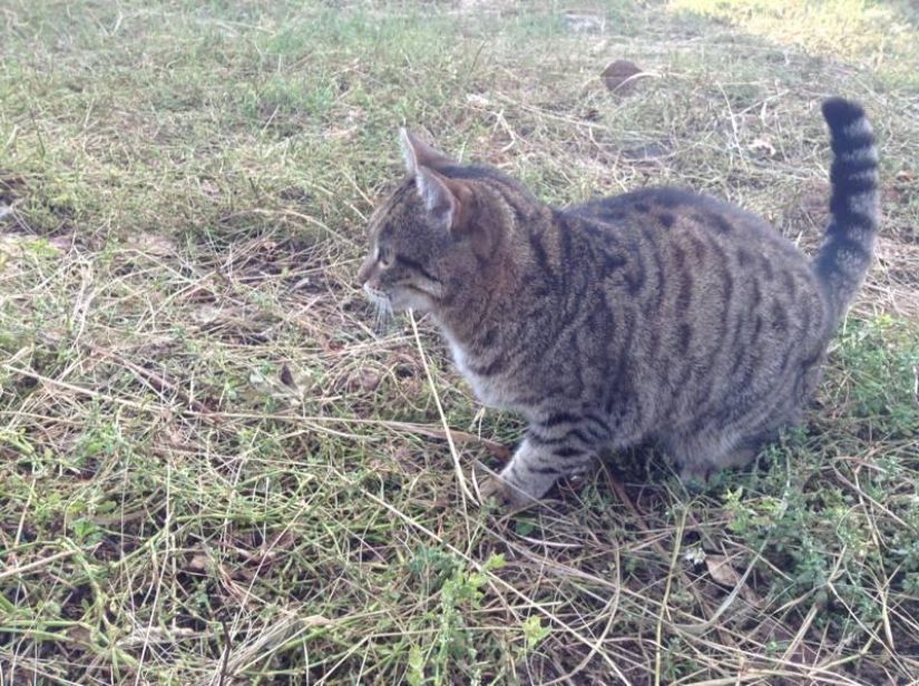 The life of a downshifter in the Russian outback