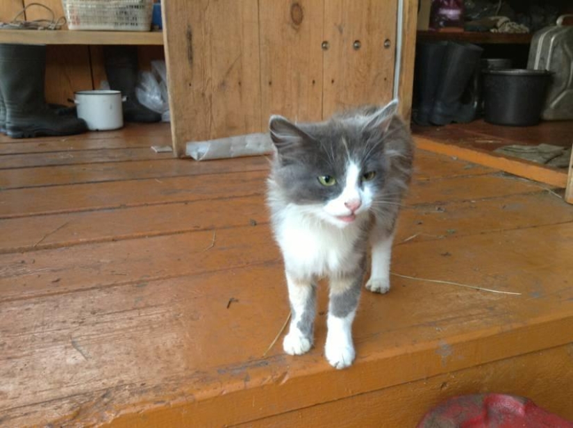 The life of a downshifter in the Russian outback