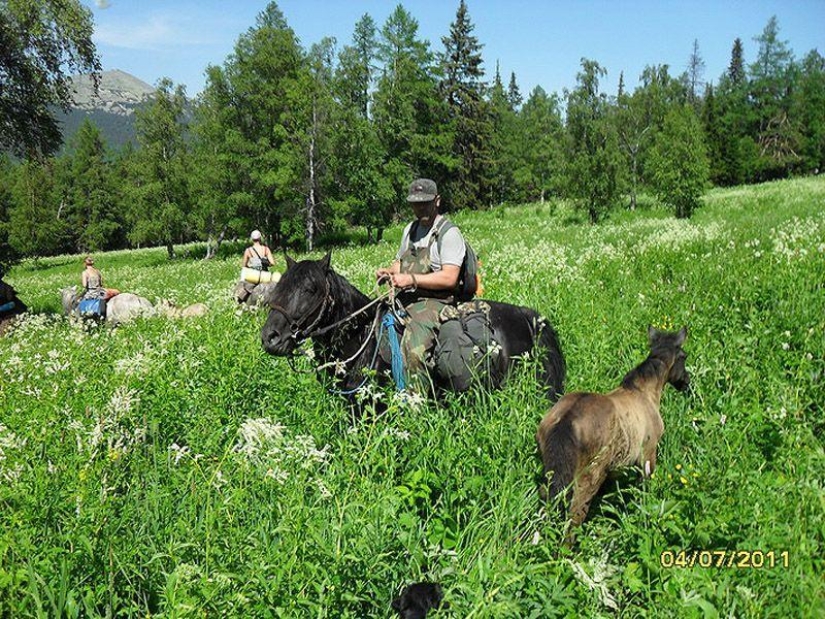The life of a downshifter in the Russian outback