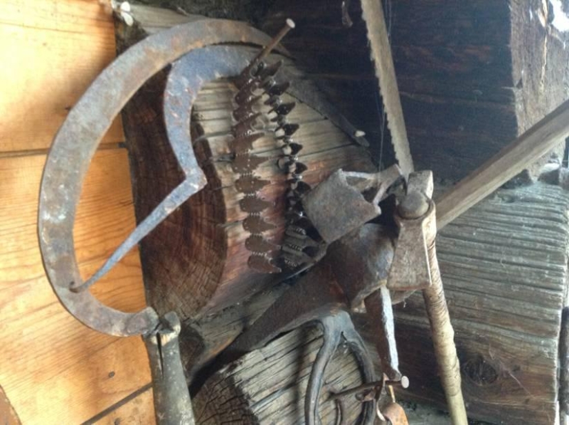 The life of a downshifter in the Russian outback