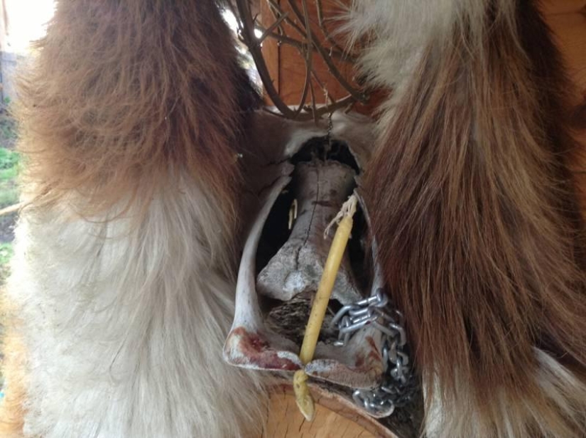 The life of a downshifter in the Russian outback