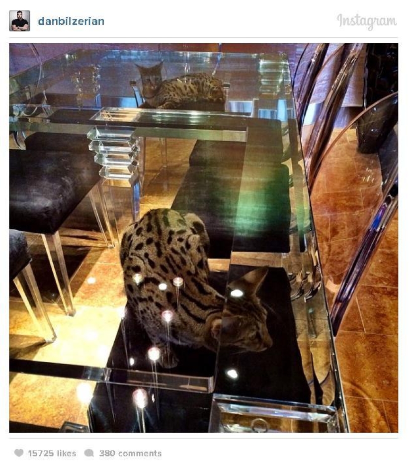 The life of a playboy, millionaire and poker star on Instagram The life of a playboy, millionaire and poker star on Instagram