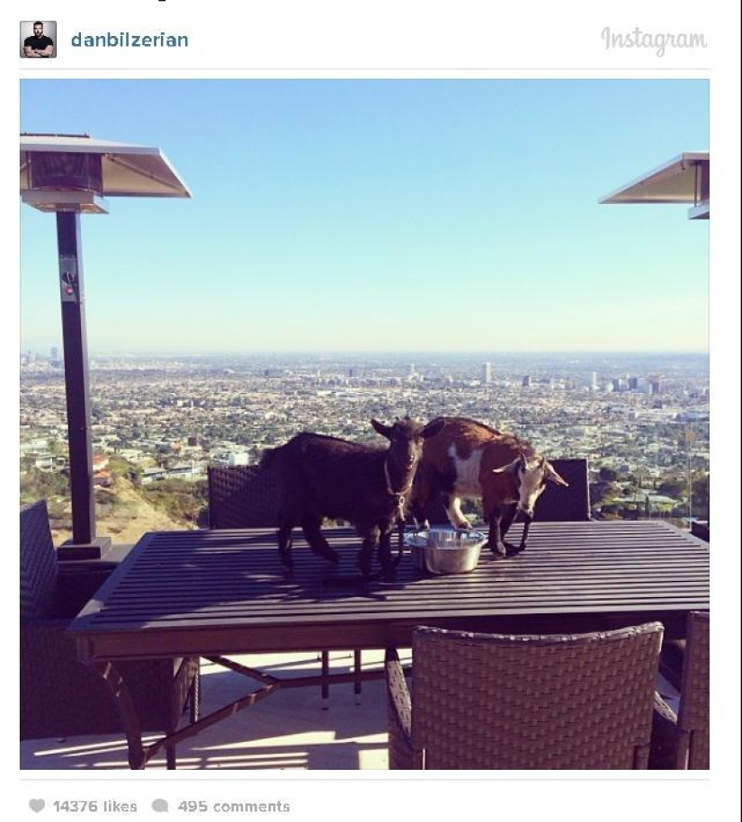 The life of a playboy, millionaire and poker star on Instagram The life of a playboy, millionaire and poker star on Instagram