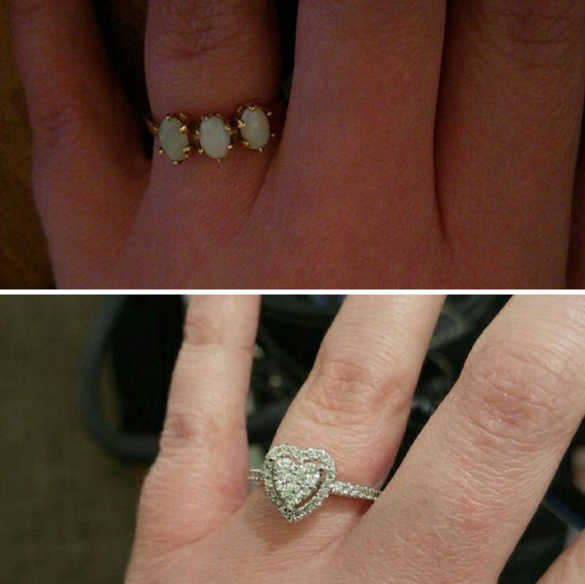 The lover proposed with the help of the kitten Gandalf from the shelter