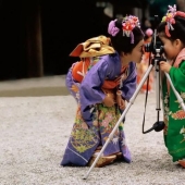 The most charming kids at the Children's holiday in Japan