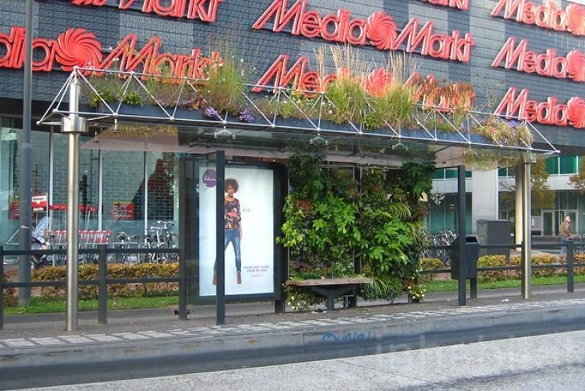 The most creative stops from around the world The most creative stops from around the world