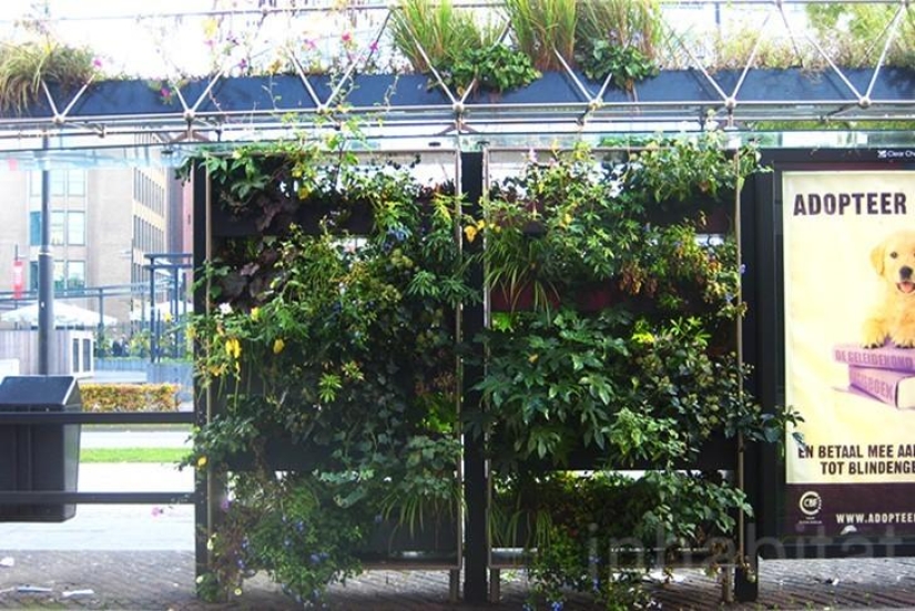 The most creative stops from around the world The most creative stops from around the world