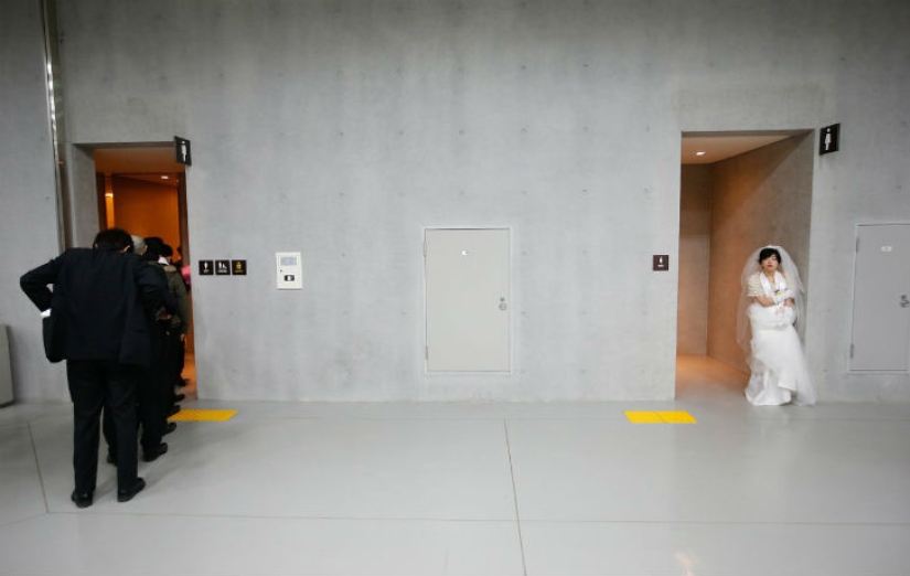 The most curious and funny photos of 2015