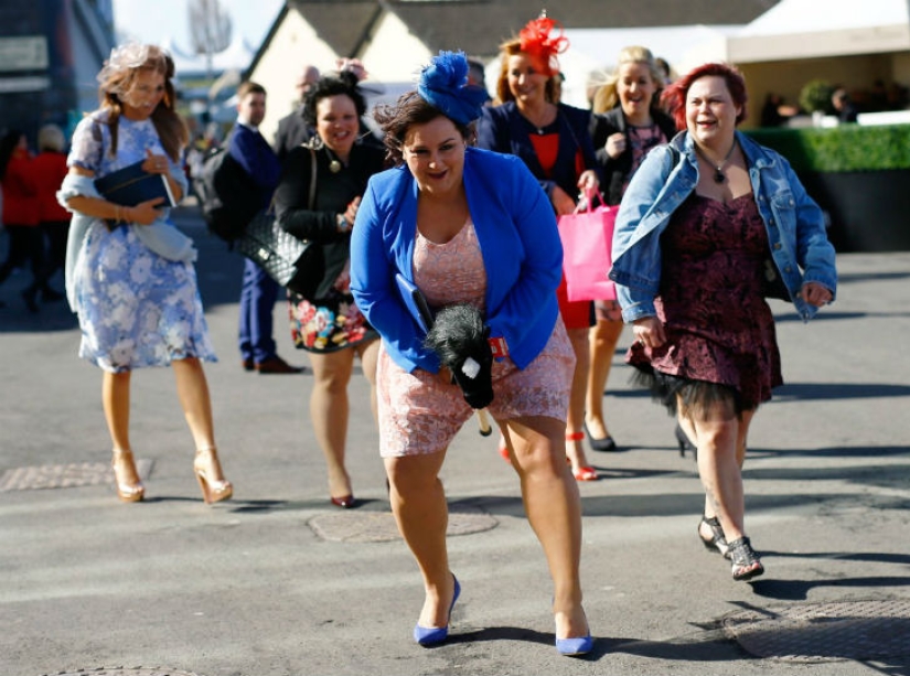 The most curious and funny photos of 2015