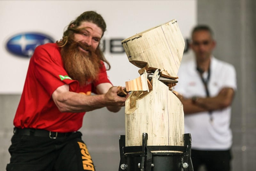 The most emotional shots of the lumberjack competition The most emotional shots of the lumberjack competition