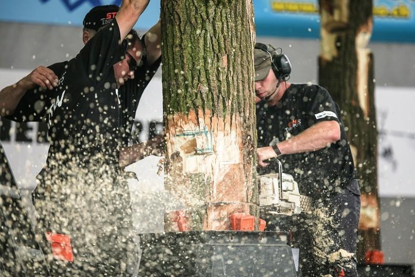 The most emotional shots of the lumberjack competition The most emotional shots of the lumberjack competition