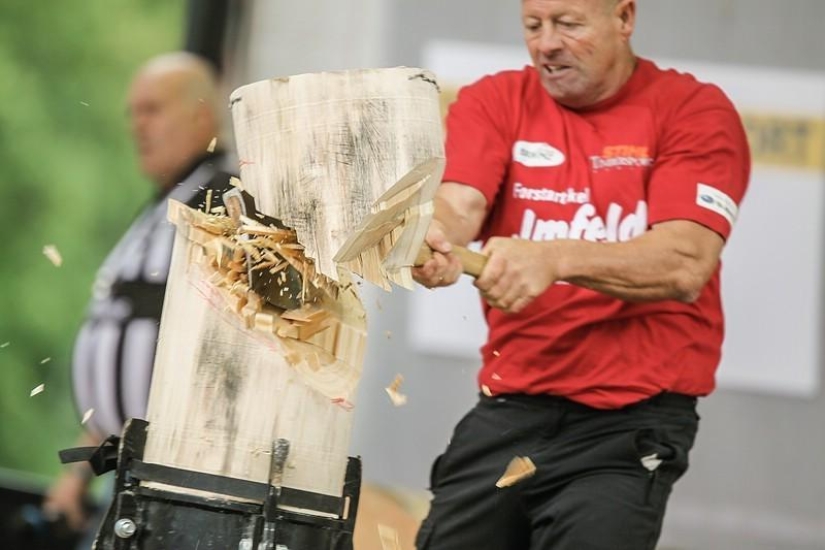 The most emotional shots of the lumberjack competition The most emotional shots of the lumberjack competition