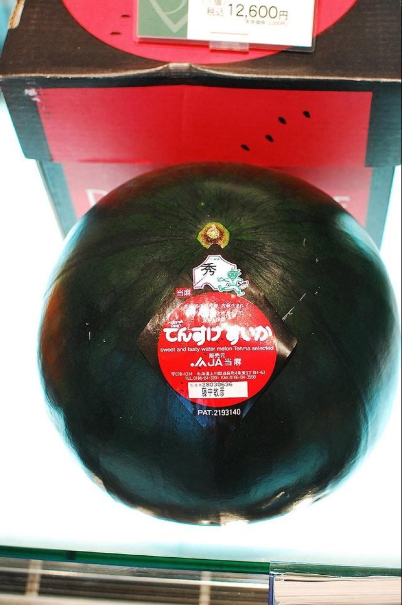 The most expensive fruit parlor in the world The most expensive fruit parlor in the world