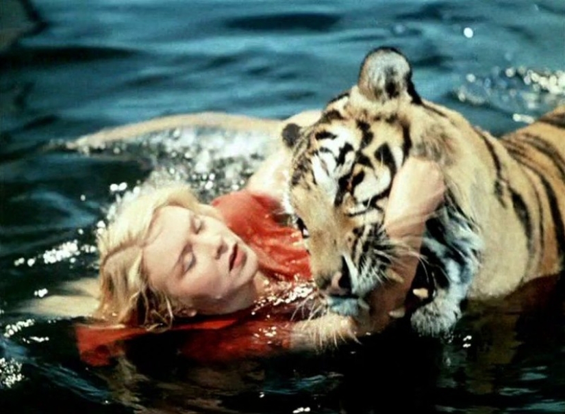 The most famous animal movie actors