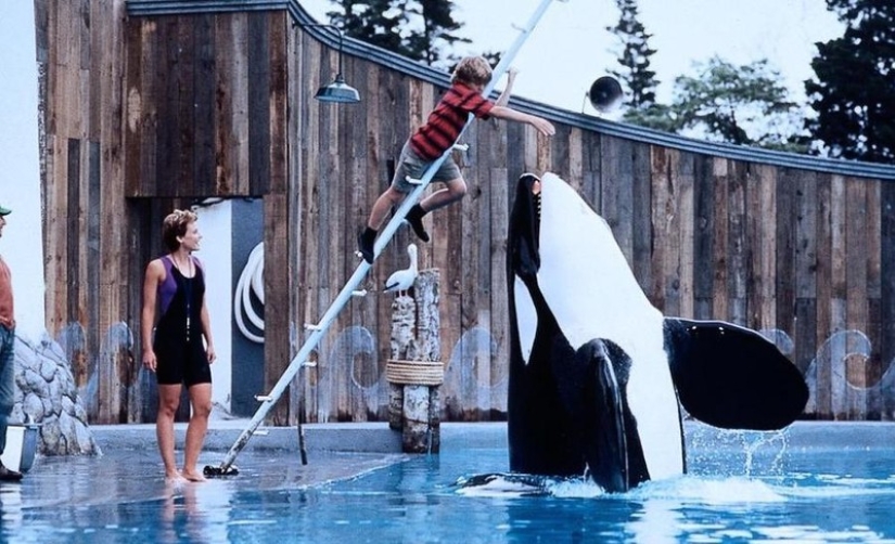 The most famous animal movie actors