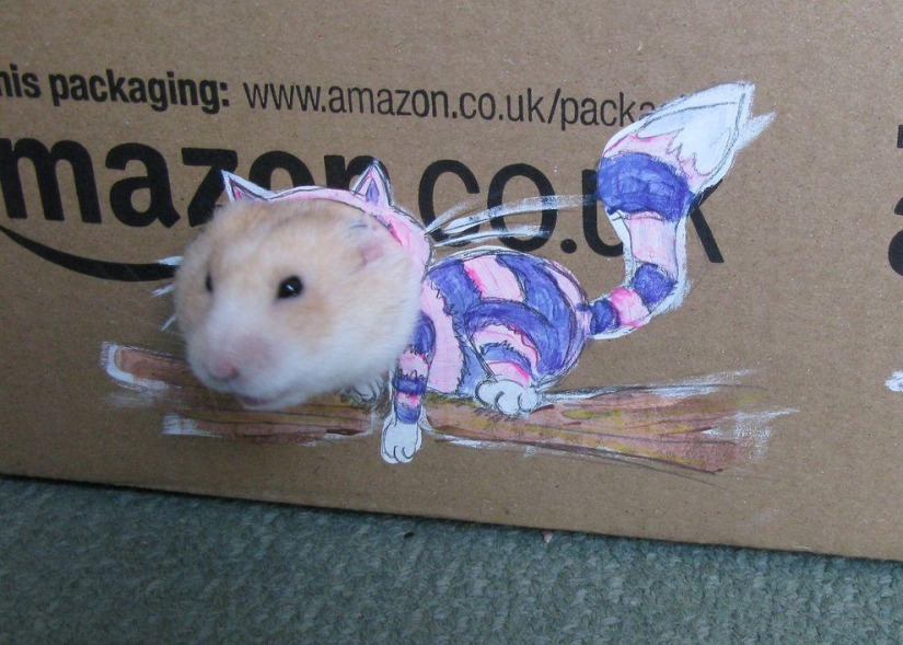 The most fashionable hamster in the world