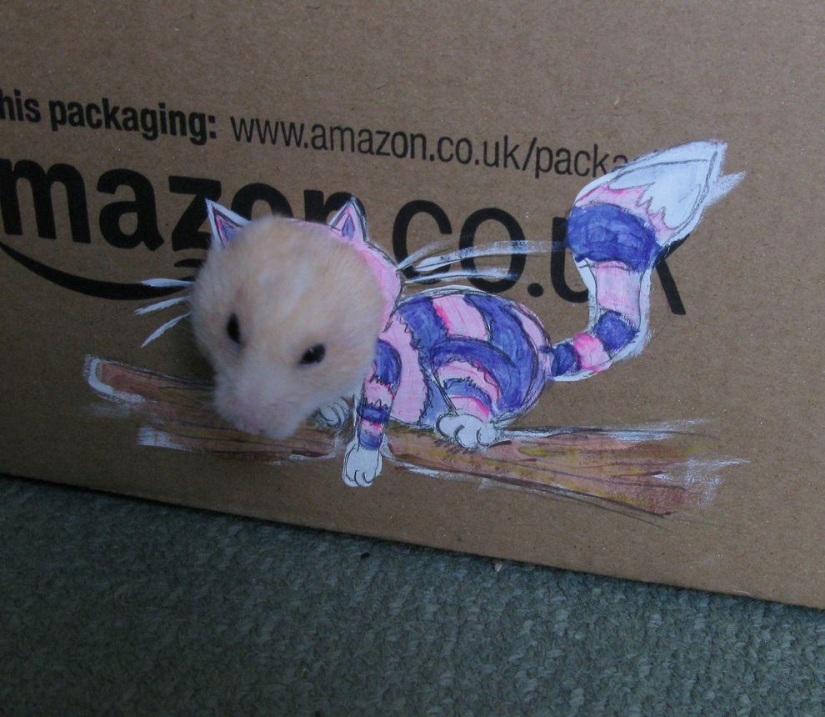 The most fashionable hamster in the world