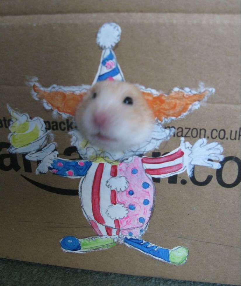 The most fashionable hamster in the world