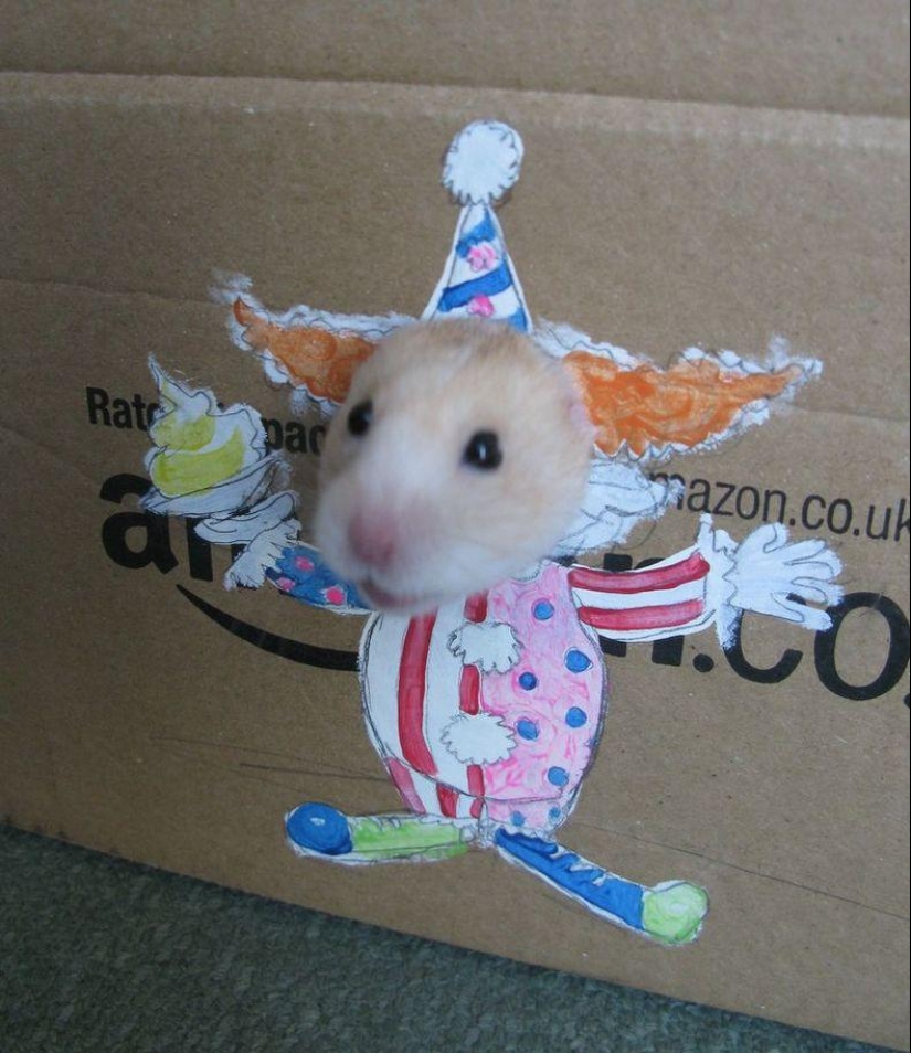 The most fashionable hamster in the world