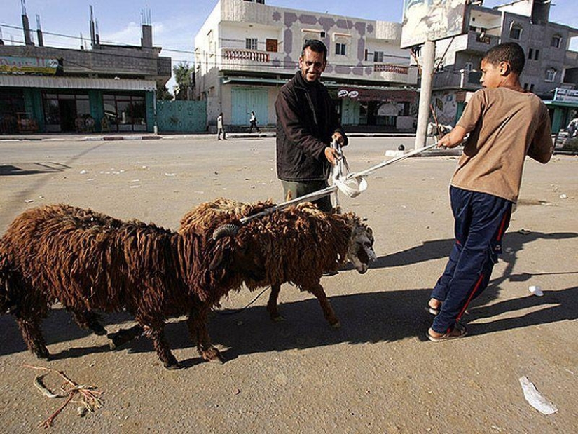 The most important facts about the Kurban-Bayram holiday