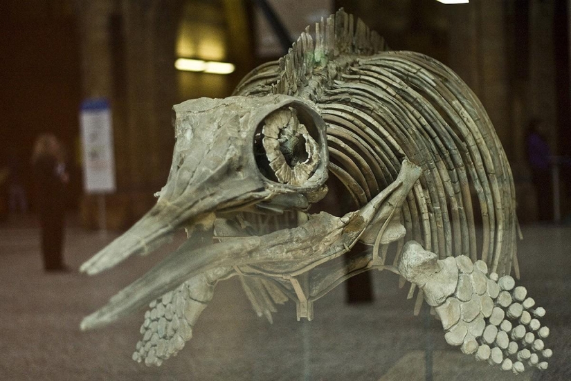 The most interesting museums in London