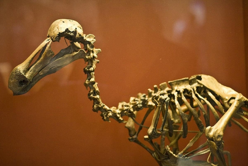 The most interesting museums in London