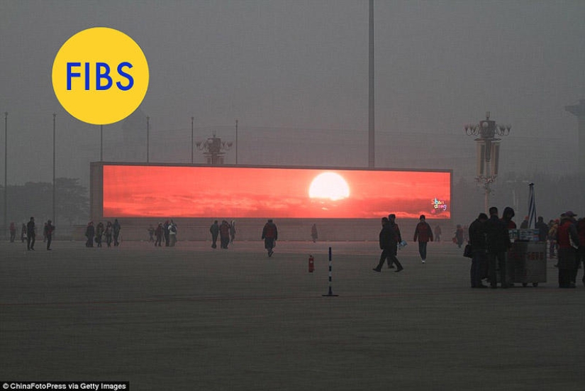 The most popular photo "ducks" walking around the Internet - Part 2