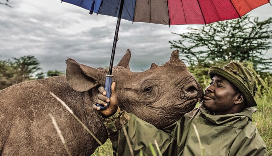 The most popular pictures from Instagram National Geographic