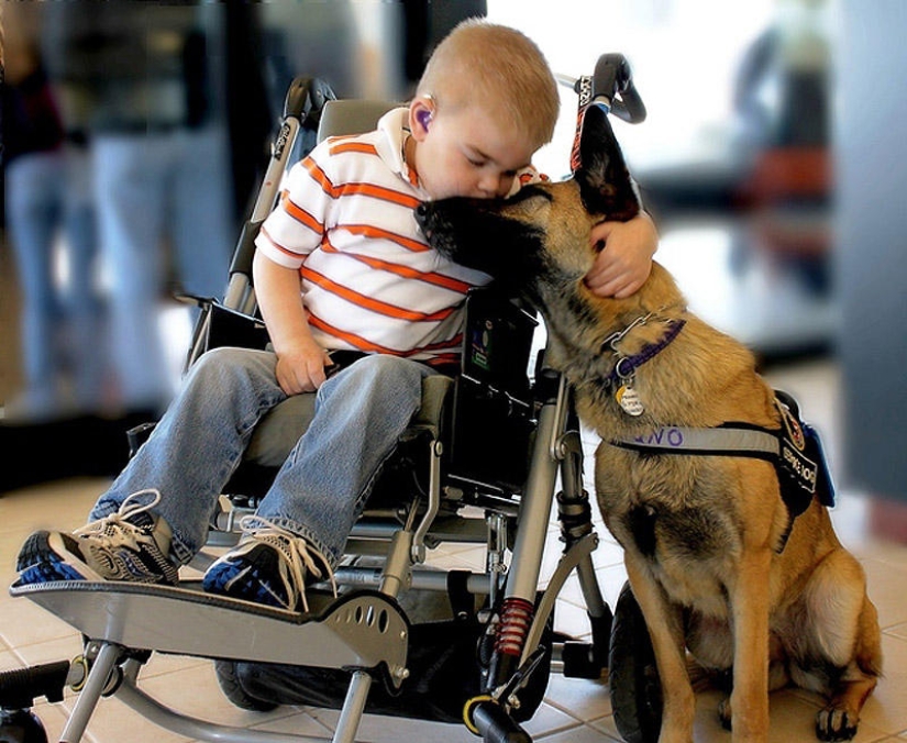 The most touching photos The most touching photos