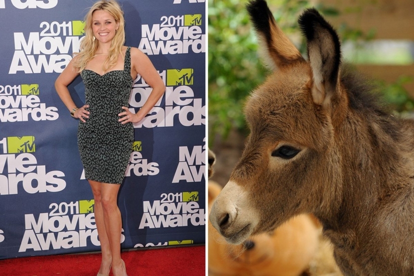 The most unusual celebrity pets