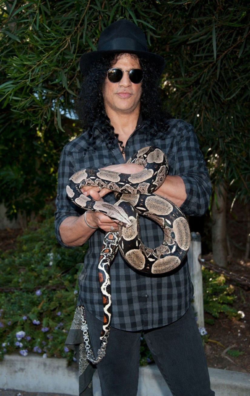 The most unusual celebrity pets