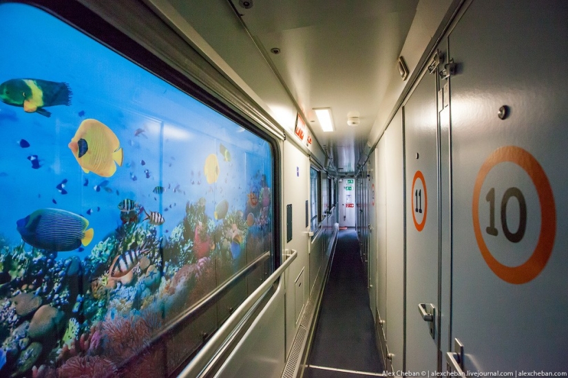 The most unusual hostel in the world!