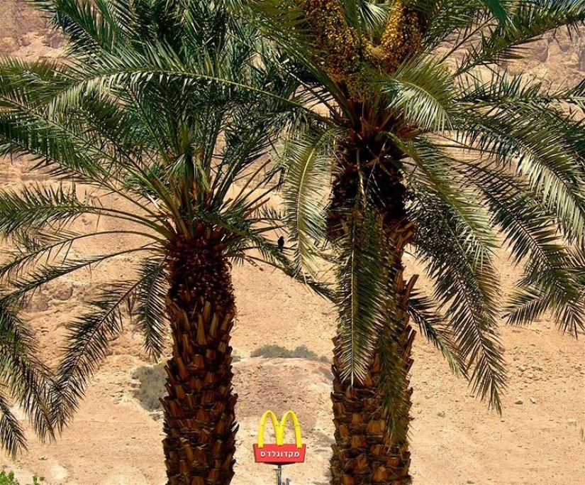 The most unusual McDonalds in the world The most unusual McDonalds in the world