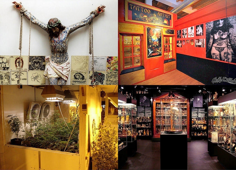 The most unusual museums in Amsterdam The most unusual museums in Amsterdam