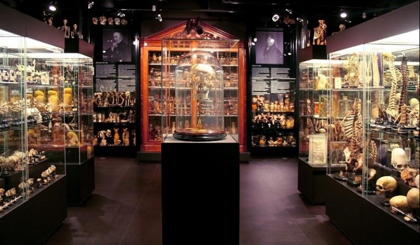 The most unusual museums in Amsterdam The most unusual museums in Amsterdam
