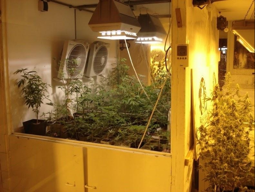 The most unusual museums in Amsterdam The most unusual museums in Amsterdam