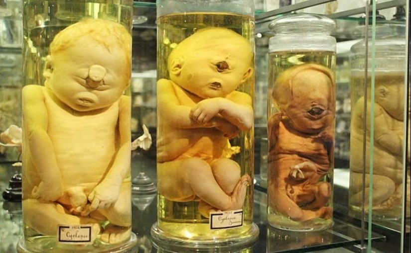 The most unusual museums in Amsterdam The most unusual museums in Amsterdam