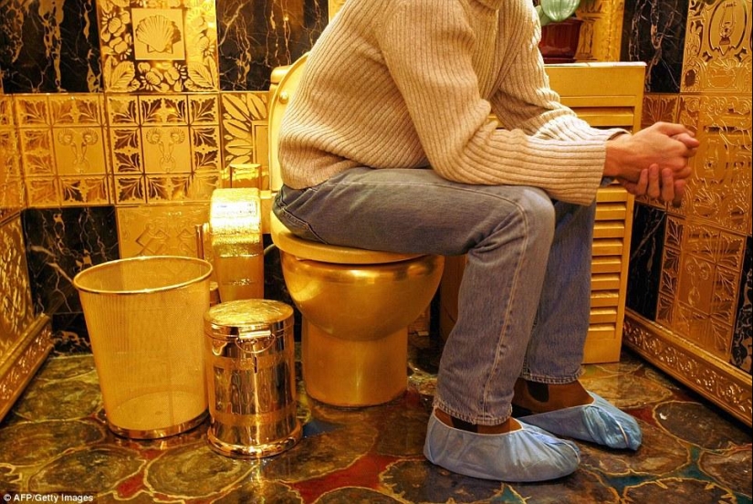 The most unusual toilets in the world The most unusual toilets in the world