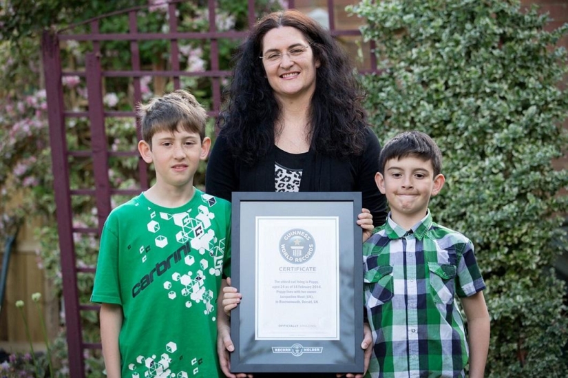 The oldest cat in the world got into the Guinness Book of Records