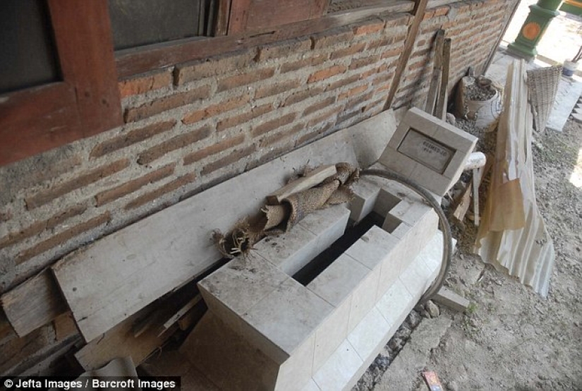 The oldest person in the world, who is 145 years old, lives in Indonesia