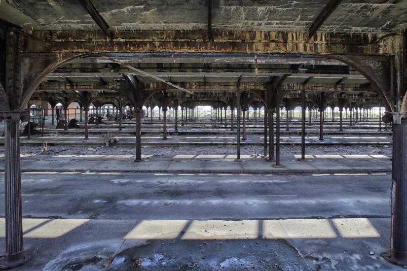 The Other Side of Freedom