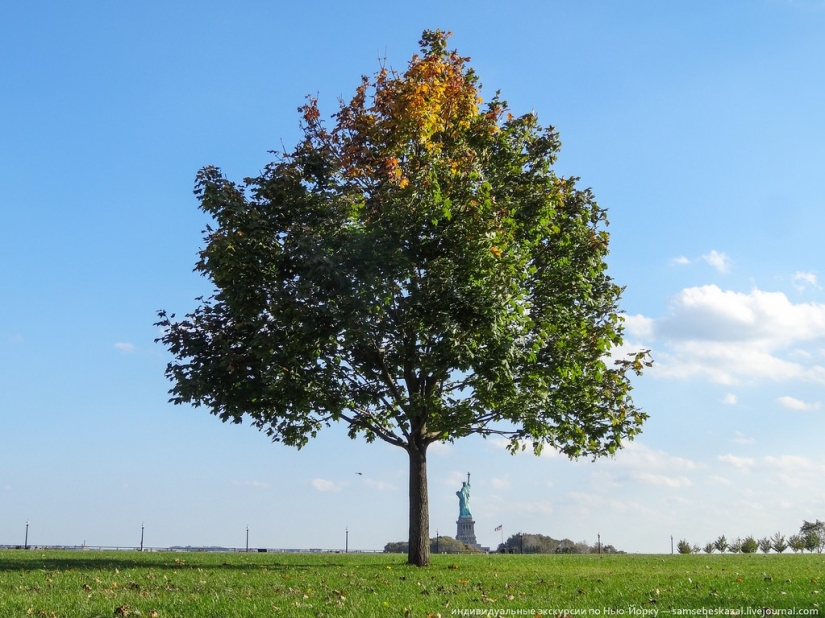 The Other Side of Freedom